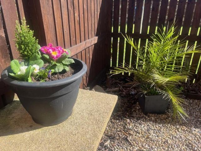 Ground Floor Apartment With Garden Glasgow Eksteriør bilde